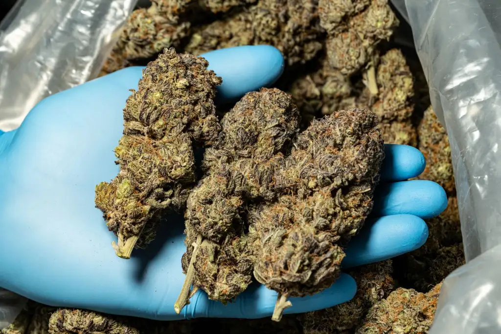 华南企业技术方案选型指南：从需求分析到落地实施全流程解析