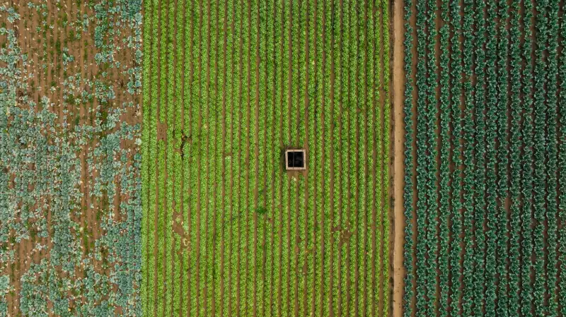 深圳软件定制开发技术方案选型要点与实施成本分析