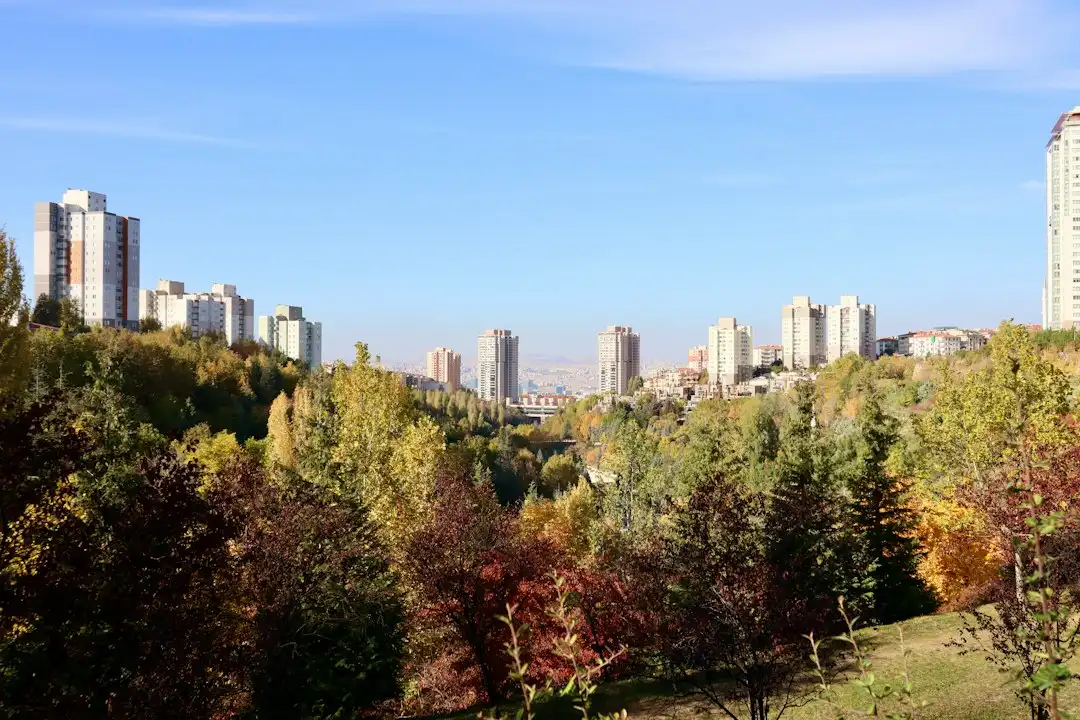 2024年华南企业软件开发项目外包成本与选型对比